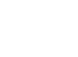 Snomed CT logo